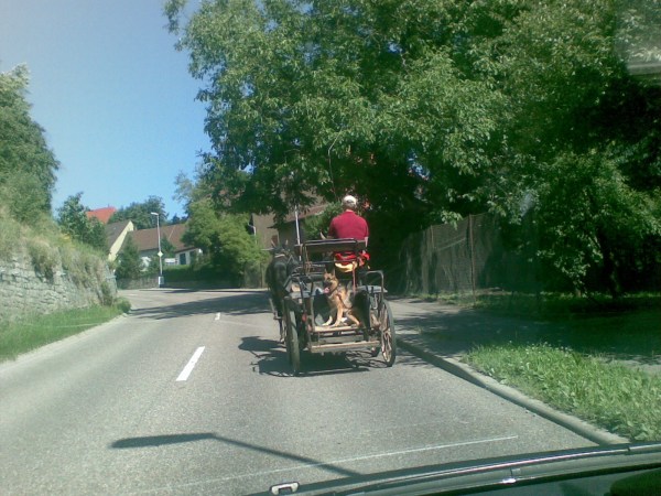 med_Droschkenfahrt.jpg (600 x 450)